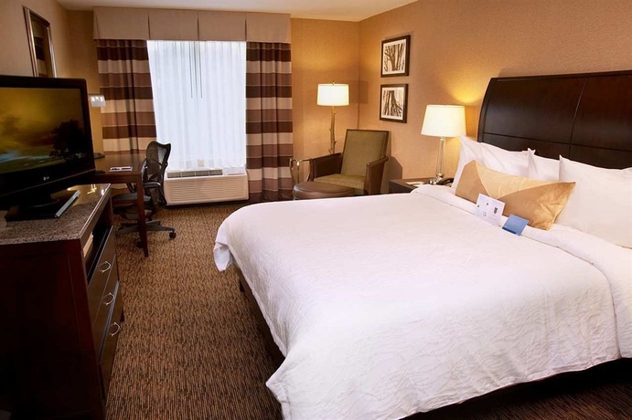 Imagen de la habitación del Hotel Hilton Garden Inn St. Louis Airport. Foto 10