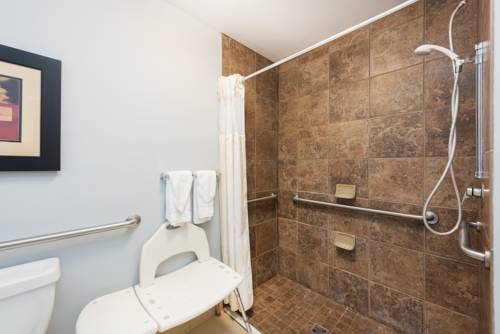 Imagen de la habitación del Hotel Hilton Garden Inn St. Louis Shiloh/o'fallon Il. Foto 4