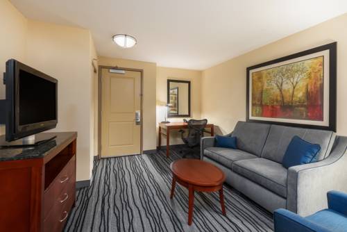 Imagen de la habitación del Hotel Hilton Garden Inn St. Louis Shiloh/o'fallon Il. Foto 5