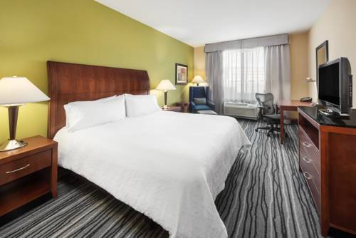 Imagen de la habitación del Hotel Hilton Garden Inn St. Louis Shiloh/o'fallon Il. Foto 9