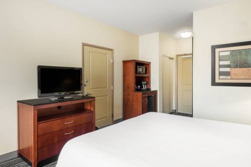 Imagen de la habitación del Hotel Hilton Garden Inn St. Louis Shiloh/o'fallon Il. Foto 11