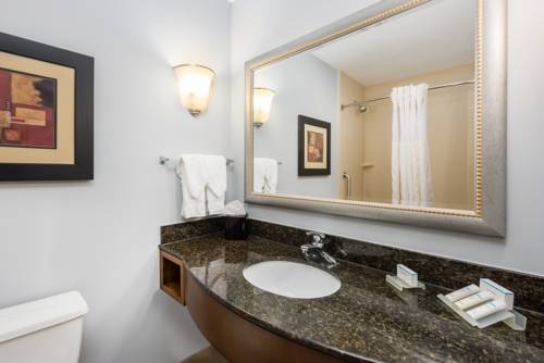 Imagen de la habitación del Hotel Hilton Garden Inn St. Louis Shiloh/o'fallon Il. Foto 12