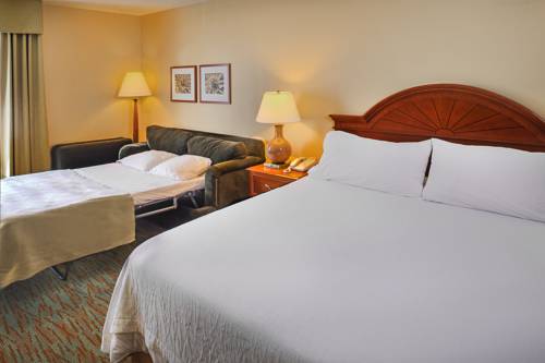 Imagen de la habitación del Hotel Hilton Garden Inn St. Louis/o'fallon Mo. Foto 6