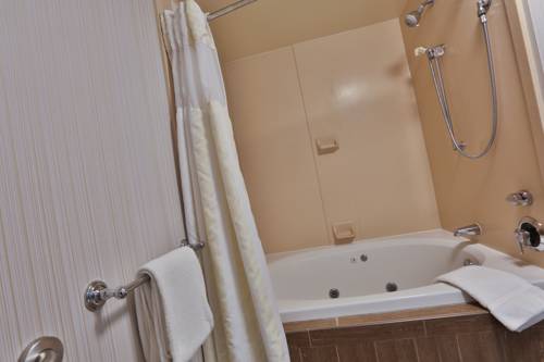Imagen de la habitación del Hotel Hilton Garden Inn State College. Foto 11