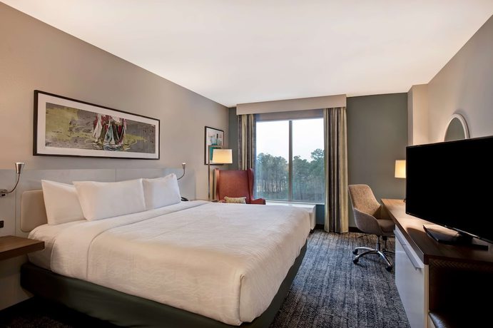 Imagen de la habitación del Hotel Hilton Garden Inn Summerville. Foto 10