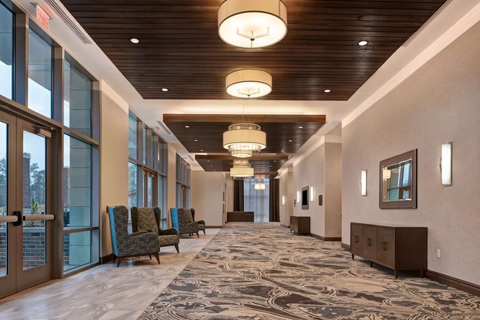 Imagen de los interiores del Hotel Hilton Garden Inn Summerville. Foto 19