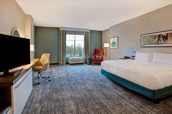 Imagen de la habitación del Hotel Hilton Garden Inn Summerville. Foto 13