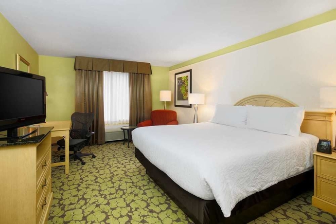 Imagen de la habitación del Hotel Hilton Garden Inn Tallahassee. Foto 4
