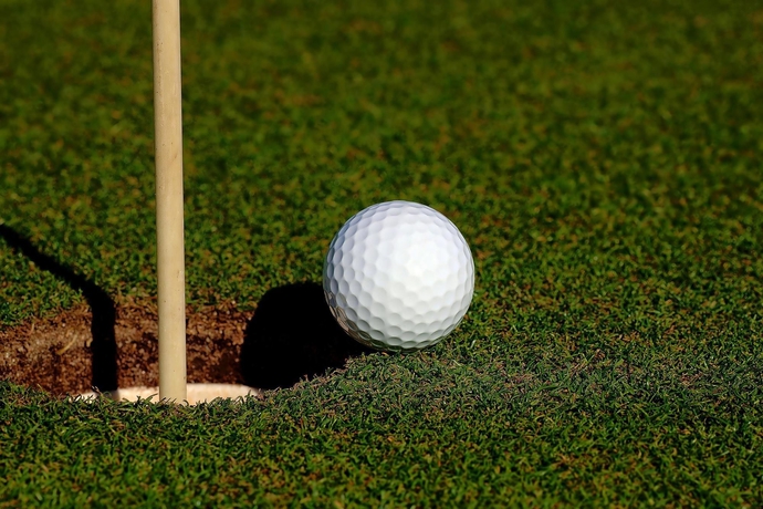 Imagen de los exteriores del Hotel Hilton Garden Inn Tampa North Busch Gardens. Foto 5