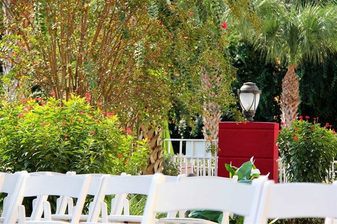 Imagen de los exteriores del Hotel Hilton Garden Inn Tampa North Busch Gardens. Foto 6