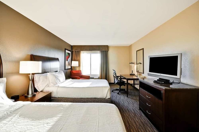 Imagen de la habitación del Hotel Hilton Garden Inn Tampa North Busch Gardens. Foto 3