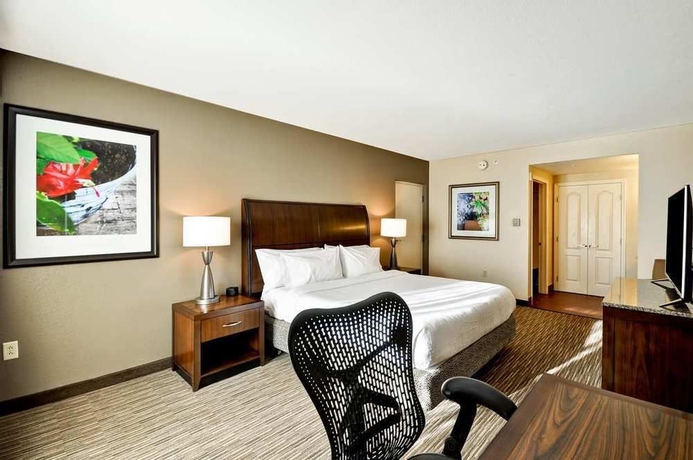 Imagen de la habitación del Hotel Hilton Garden Inn Tampa North Busch Gardens. Foto 4