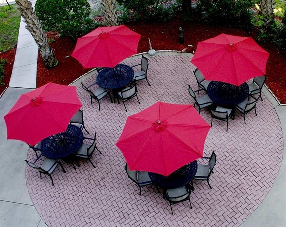 Imagen de los exteriores del Hotel Hilton Garden Inn Tampa North Busch Gardens. Foto 9