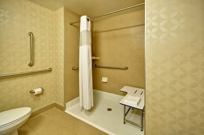 Imagen de la habitación del Hotel Hilton Garden Inn Tampa Northwest/oldsmar. Foto 4