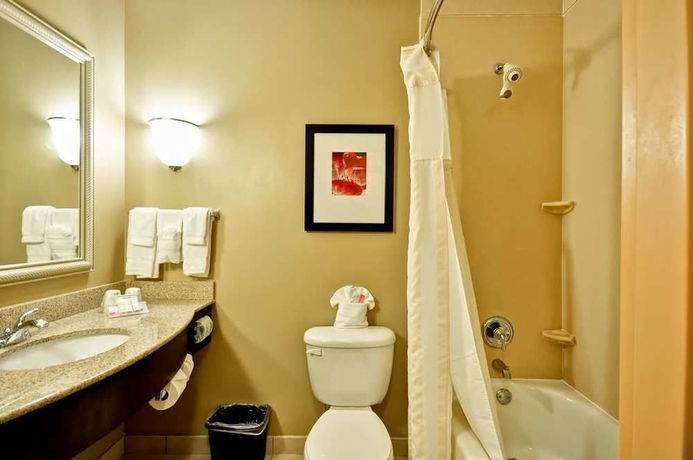 Imagen de la habitación del Hotel Hilton Garden Inn Tampa Northwest/oldsmar. Foto 5