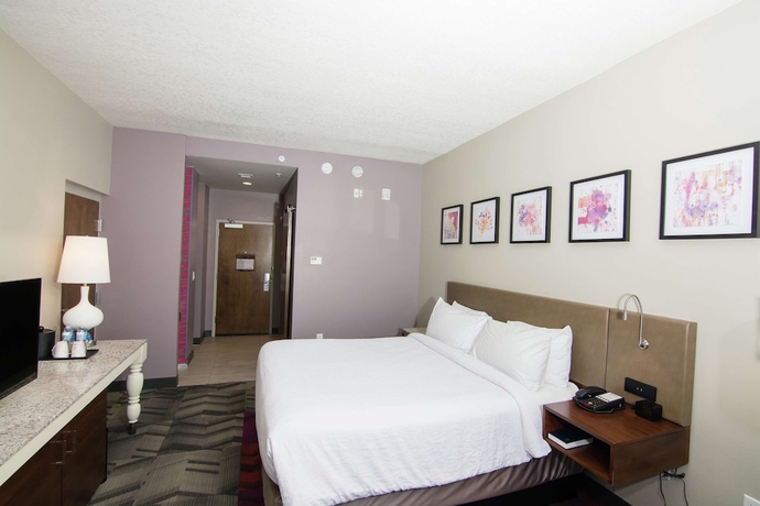 Imagen de la habitación del Hotel Hilton Garden Inn Tampa Suncoast Parkway. Foto 5