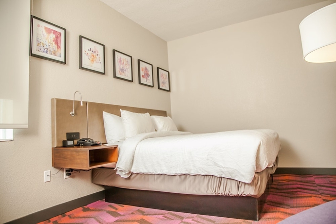 Imagen de la habitación del Hotel Hilton Garden Inn Tampa Suncoast Parkway. Foto 8