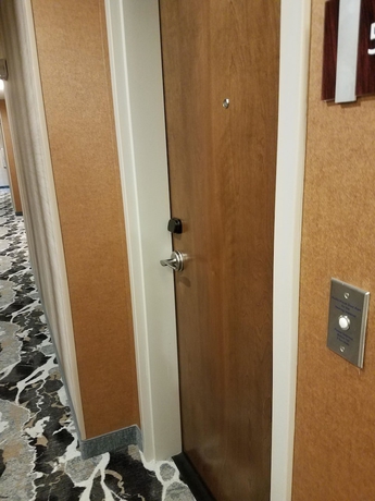 Imagen de la habitación del Hotel Hilton Garden Inn Tampa Suncoast Parkway. Foto 10