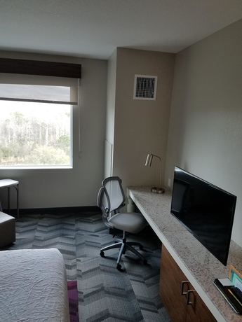 Imagen de la habitación del Hotel Hilton Garden Inn Tampa Suncoast Parkway. Foto 11