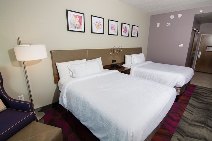 Imagen de la habitación del Hotel Hilton Garden Inn Tampa Suncoast Parkway. Foto 13