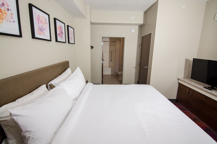 Imagen de la habitación del Hotel Hilton Garden Inn Tampa Suncoast Parkway. Foto 14