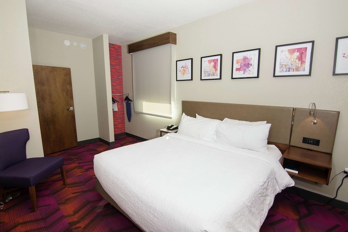 Imagen de la habitación del Hotel Hilton Garden Inn Tampa Suncoast Parkway. Foto 15