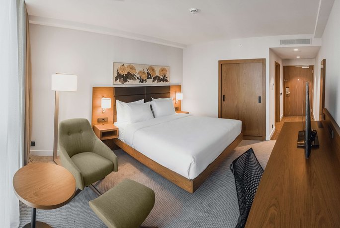 Imagen de la habitación del Hotel Hilton Garden Inn Tbilisi Chavchavadze. Foto 8