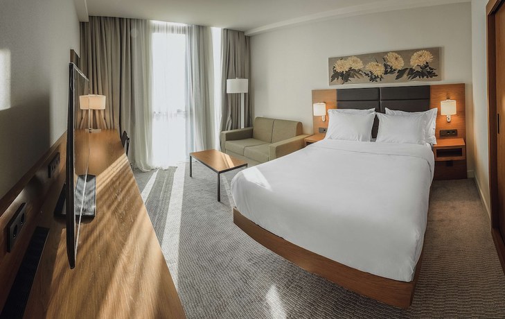 Imagen de la habitación del Hotel Hilton Garden Inn Tbilisi Chavchavadze. Foto 11