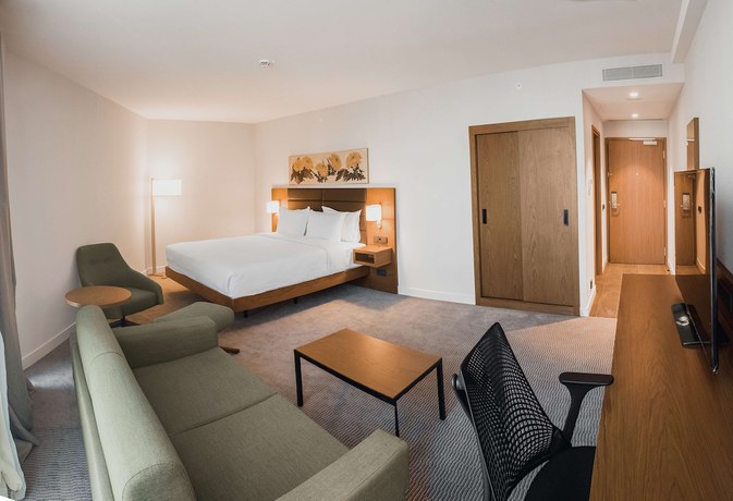 Imagen de la habitación del Hotel Hilton Garden Inn Tbilisi Chavchavadze. Foto 13