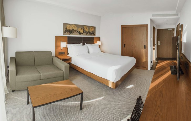 Imagen de la habitación del Hotel Hilton Garden Inn Tbilisi Chavchavadze. Foto 15