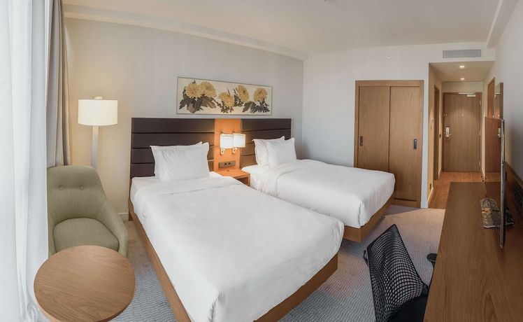 Imagen de la habitación del Hotel Hilton Garden Inn Tbilisi Chavchavadze. Foto 17