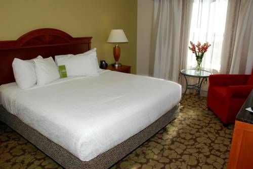 Imagen de la habitación del Hotel Hilton Garden Inn Temple Medical Center. Foto 4