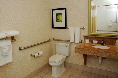 Imagen de la habitación del Hotel Hilton Garden Inn Temple Medical Center. Foto 6