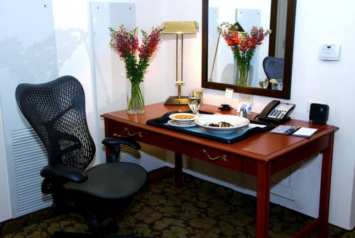 Imagen de la habitación del Hotel Hilton Garden Inn Temple Medical Center. Foto 8