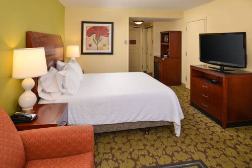 Imagen de la habitación del Hotel Hilton Garden Inn Terre Haute. Foto 3