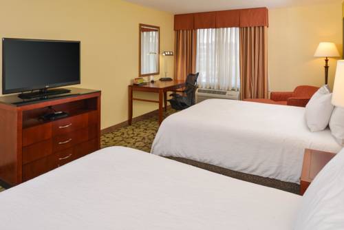 Imagen de la habitación del Hotel Hilton Garden Inn Terre Haute. Foto 5
