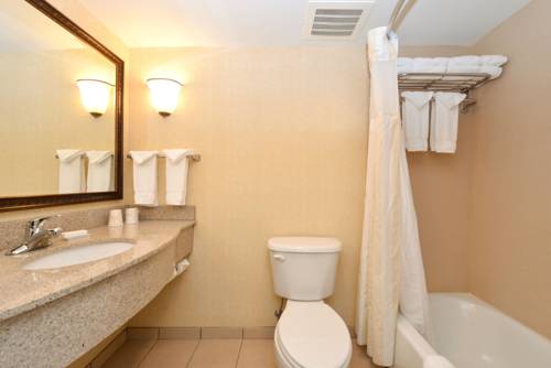 Imagen de la habitación del Hotel Hilton Garden Inn Terre Haute. Foto 6