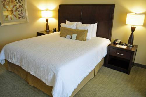 Imagen de la habitación del Hotel Hilton Garden Inn Tifton. Foto 1