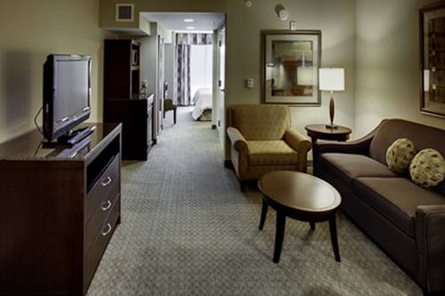 Imagen de la habitación del Hotel Hilton Garden Inn Tifton. Foto 3