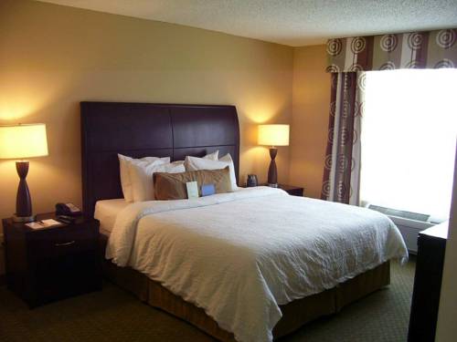 Imagen de la habitación del Hotel Hilton Garden Inn Tifton. Foto 4