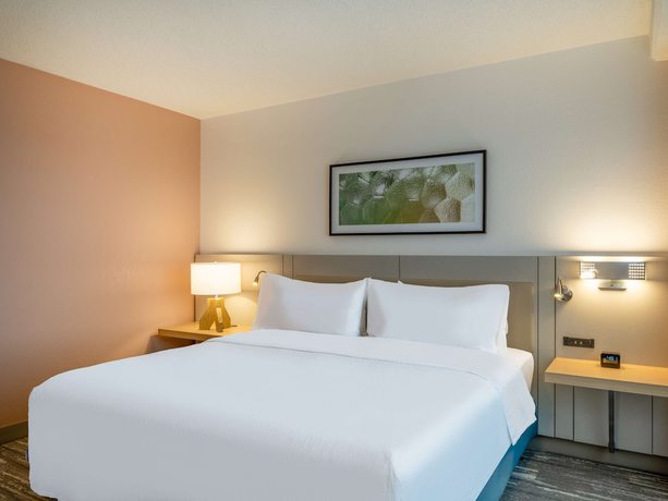 Imagen de la habitación del Hotel Hilton Garden Inn Toledo Downtown. Foto 10