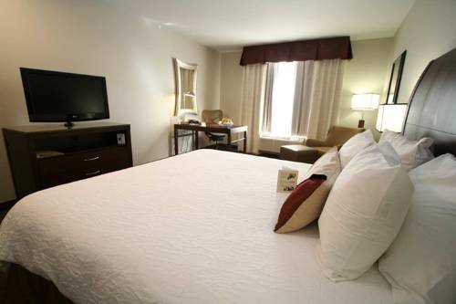 Imagen de la habitación del Hotel Hilton Garden Inn Toledo Perrysburg. Foto 9