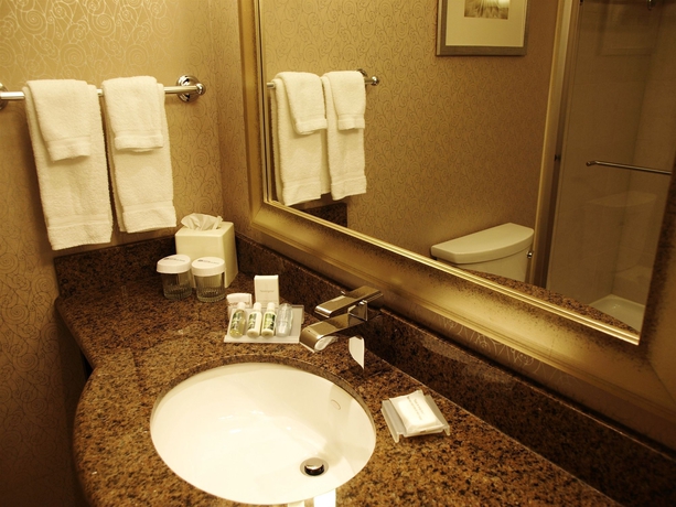 Imagen de la habitación del Hotel Hilton Garden Inn Toronto Airport West/mississauga. Foto 4