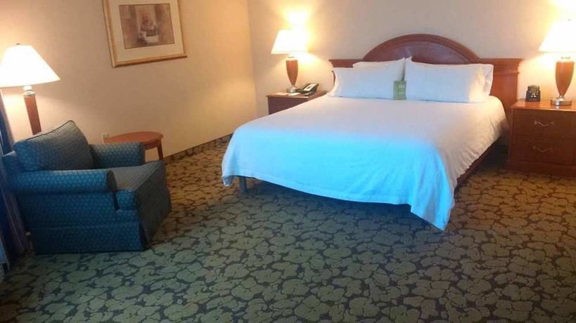 Imagen de la habitación del Hotel Hilton Garden Inn Toronto/markham. Foto 4