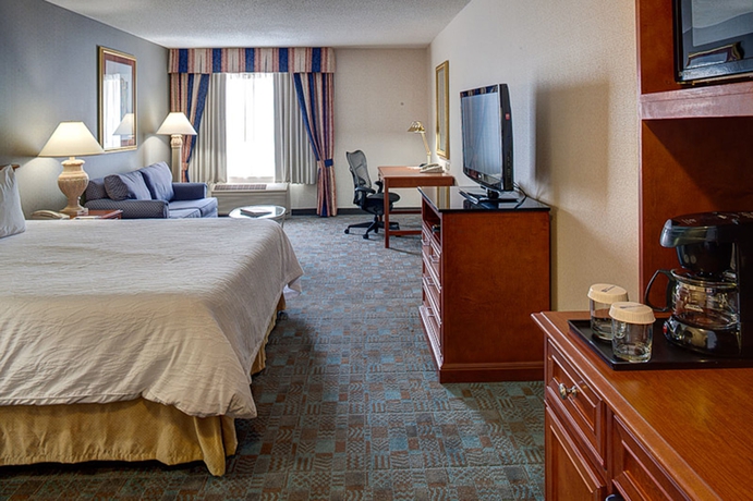 Imagen de la habitación del Hotel Hilton Garden Inn Toronto/oakville. Foto 10