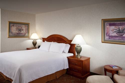 Imagen de la habitación del Hotel Hilton Garden Inn Tri-cities/kennewick. Foto 2