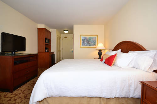 Imagen de la habitación del Hotel Hilton Garden Inn Tulsa Airport. Foto 4