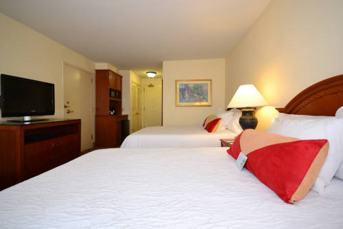 Imagen de la habitación del Hotel Hilton Garden Inn Tulsa Airport. Foto 5