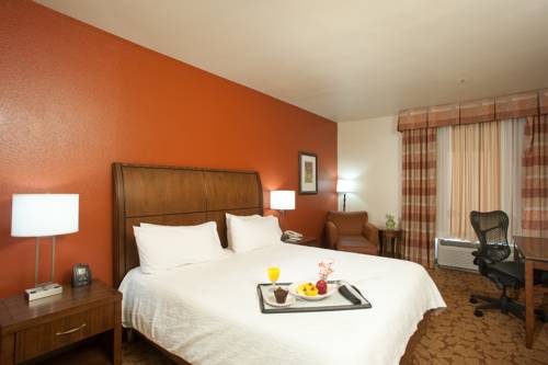 Imagen de la habitación del Hotel Hilton Garden Inn Tulsa Airport. Foto 6