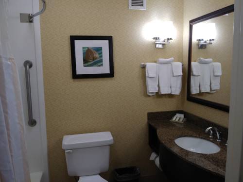 Imagen de la habitación del Hotel Hilton Garden Inn Tulsa Airport. Foto 9